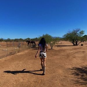 Pacsun cow print shorts